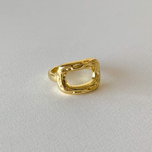 Anillo hebilla