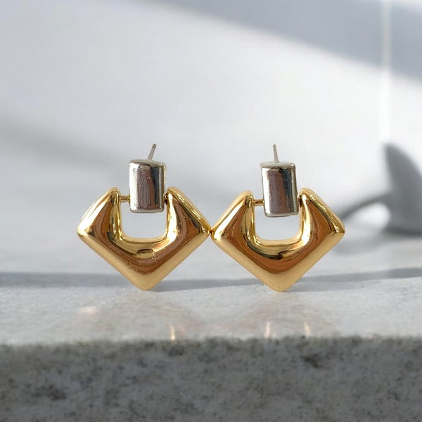 Aretes V bicolor