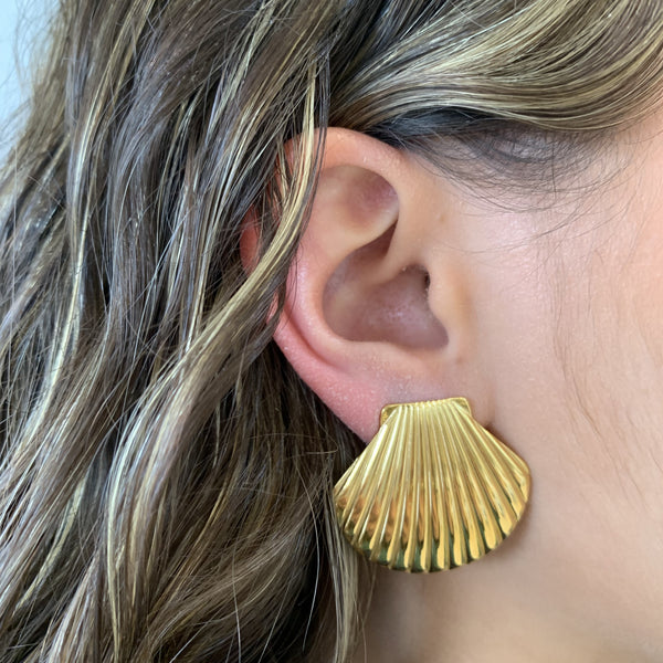Aretes concha de mar